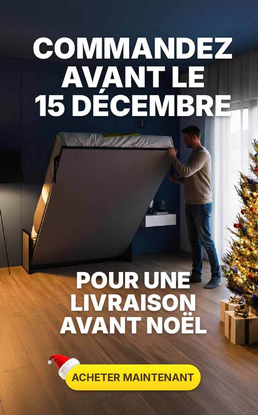 Passez votre commande avant le 15 décembre pour une livraison à temps pour Noël